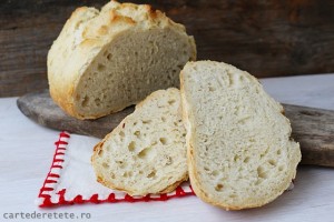 Paine fara framantare2