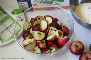 Tarta rustica cu mere (3)