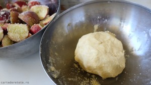 tarta rustica cu mere (5)