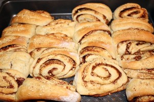 briose finlandeze4
