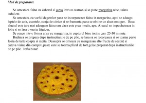 tarta cu mango1