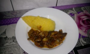 tocanita de ciuperci champignion