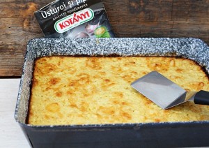 budinca de dovlecei1