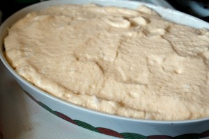 Prajitura cu prune si budinca005