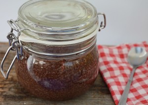 budinca de chia cu ciocolata3