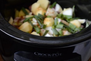 coaste picante la crock pot6