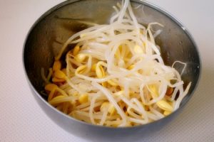 Bibimbap orez in stil coreean023